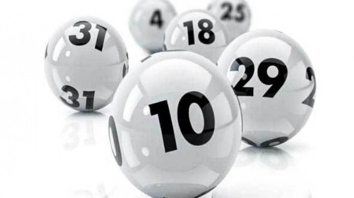 Khám Phá Thế Giới Đá Gà Trực Tiếp: Những Điều Cần Biết